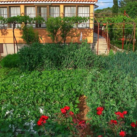 נזרין Apartments Sokolic מראה חיצוני תמונה